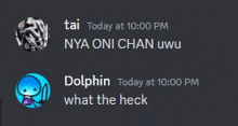 a screenshot of a discord conversation between tai and dolphin .