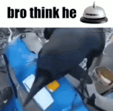 a picture of a dolphin with the words bro think he above it