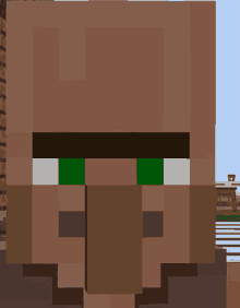 a minecraft villager with green eyes and a long nose .