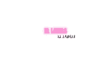 a pink logo on a white background that says xl labels .