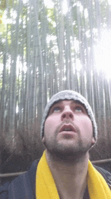 a man wearing a gray hat and a yellow scarf looks up at the sky