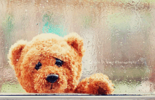 a teddy bear is looking out of a window with rain drops