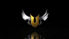 a black background with a gold and silver logo