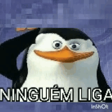 a penguin from spongebob squarepants is saluting with the words `` ninguem liga '' written below it .