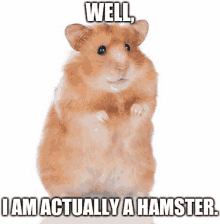 a hamster with the words well i am actually a hamster below it