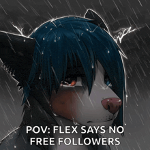 a drawing of a furry character with the caption " pov flex says no free followers "