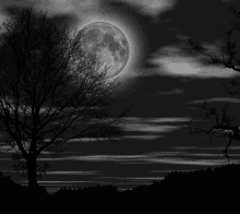 a black and white photo of a full moon