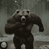 a picture of a bear with a signed earth logo on the bottom