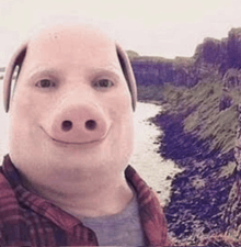 a man wearing a pig mask is taking a selfie .