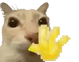 a cat is eating french fries with a pixelated hand in its mouth