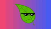 a green leaf is wearing sunglasses on a purple and pink background