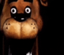 a close up of a teddy bear 's face with a black background and white eyes .