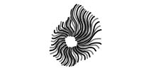 a black and white drawing of a feather with a circle in the middle