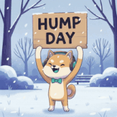 a dog wearing headphones and a bow tie holds a sign that says hump day