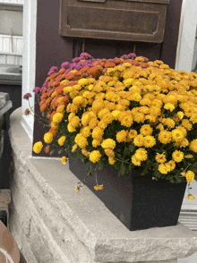 a planter filled with yellow and purple flowers sits on a stone ledge