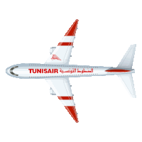 a tunisiair airplane with red and white stripes