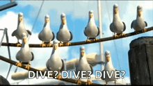 a group of seagulls are sitting on a rope and they are asking if they can dive .