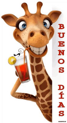 a cartoon giraffe drinking from a glass with a straw and the words buenos dias on the bottom