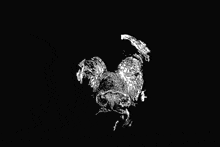 a drawing of a rooster on a black background