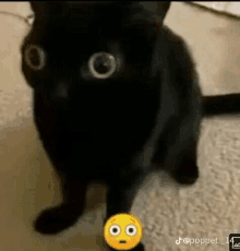 a black cat with big eyes is standing next to a yellow smiley face on the floor .