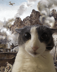 a cat is looking at the camera in front of a painting of a war scene