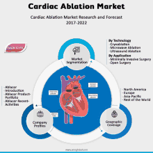 a diagram of the cardiac ablation market research and forecast for 2017-2022