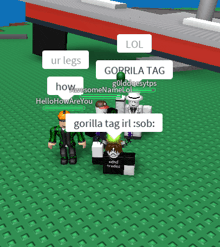 a screenshot of a video game shows a gorilla tag
