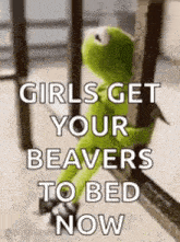 kermit the frog is sitting on a railing with the words `` girls get your beavers to bed now '' written on it .