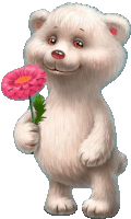 a white teddy bear holds a pink flower in its paws