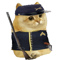 a cat wearing a military uniform has a gun and a hat