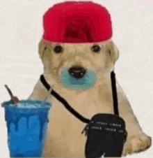 a dog wearing a red hat and carrying a purse is holding a cup of water .