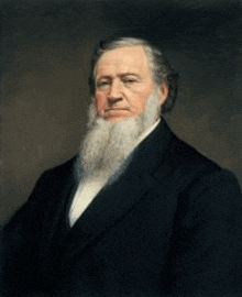 a man with a beard is wearing a suit and tie in a portrait .