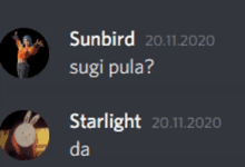 a screenshot of a conversation with sunbird and starlight