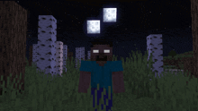 a minecraft character with red eyes is standing in a field