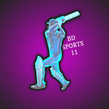 a sticker of a cricket player with the words bd sports 11 on it