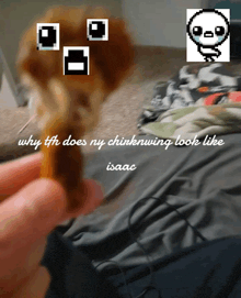 why tfh does ny chinkwing look like isaac written on a picture