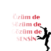 Söz Sticker