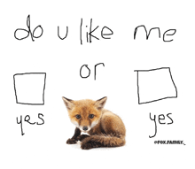 a picture of a fox with the words do u like me or yes