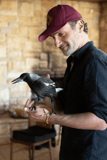 a man wearing a purple hat holds a black bird