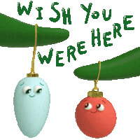 two christmas ornaments hanging from a tree branch with the words wish you were here written above them