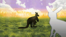 a kangaroo with a baby in its pouch and a white kangaroo standing in a field with the word music in the background