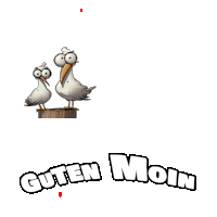 two seagulls are standing on a wooden post and the words guten moin are below them