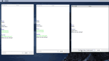 three screenshots of a chat between ross and rachel on a mac