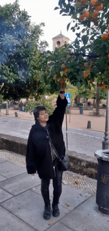 a woman in a black coat is reaching up to a tree with oranges on it