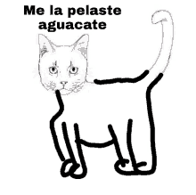 a drawing of a cat with the words me la pelaste aguacate below it