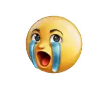 a crying smiley face with tears coming out of it 's eyes .