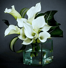 a glass vase filled with white flowers and green leaves on a table .