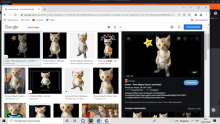 a screenshot of a google search for a cat