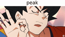 a picture of a cartoon character with the word peak below it