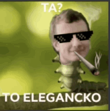 a picture of a man wearing sunglasses and smoking a cigarette with the caption ta to elegantko